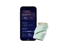 Owlet Dream Sock - Original Mint