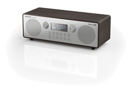 Panasonic DAB-FM Radio RF-D100BTEGT