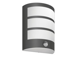 Philips Python IR Anthracite 1x6W 40K