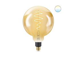 WiZ LED E27 G200 8718699786830 20-50K Am
