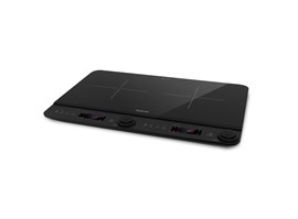 Salente InductPro2