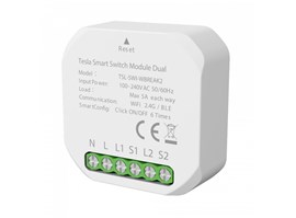 Tesla Smart Switch Module Dual