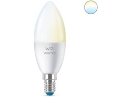 WiZ LED žárovka E27 8718699787073
